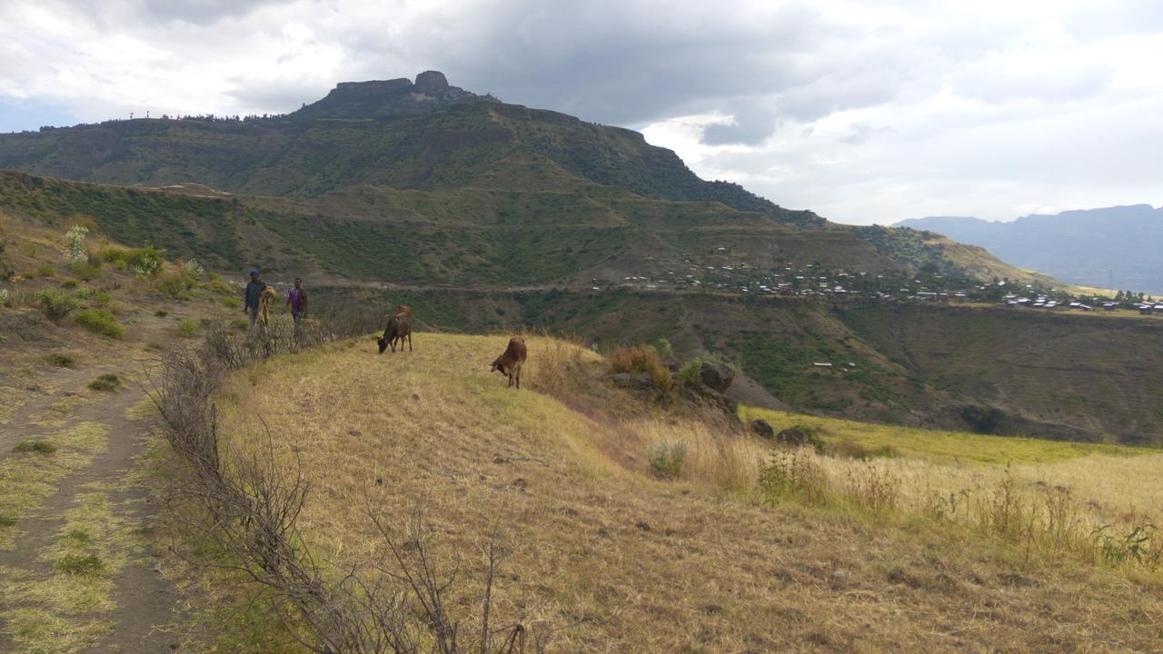 Zan-Seyoum Hotel Lalibela Bagian luar foto