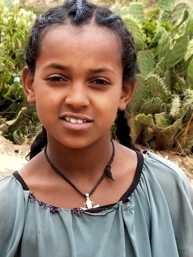 Zan-Seyoum Hotel Lalibela Bagian luar foto